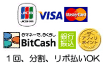 お支払い方法：JCB VISA MasterCard BitCash 銀行振り込み　アフィリポイント